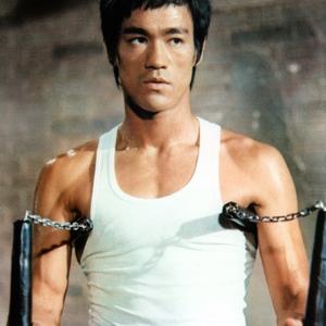 Bruce Lee Net Worth