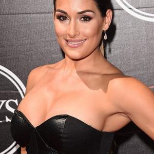 Brie Bella Net Worth
