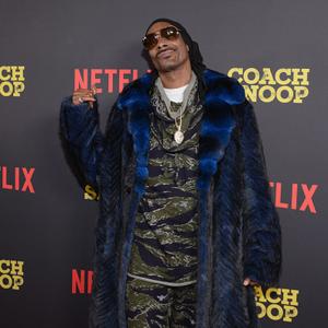 Snoop Lion Net Worth