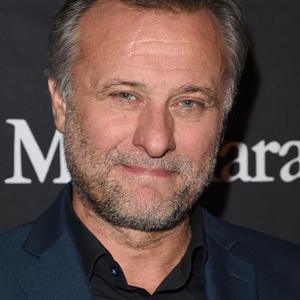 Michael Nyqvist book