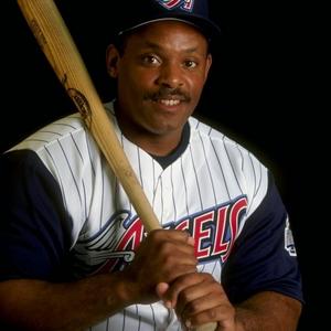 Cecil Fielder Net Worth