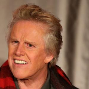 Gary Busey Net Worth