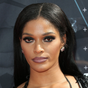 Joseline Hernandez Net Worth