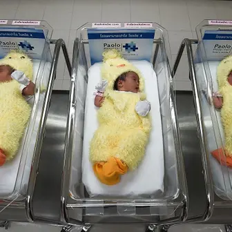 Stephanie D. Johnson Net Worth | Celebrity Net Worth