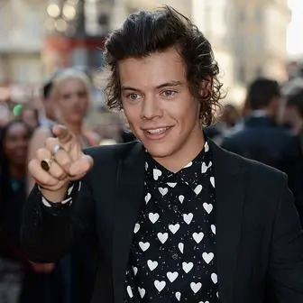 Harry Styles Net Worth Celebrity Net Worth