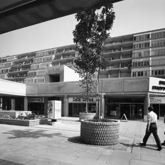 Christos Lazari Net Worth | Celebrity Net Worth