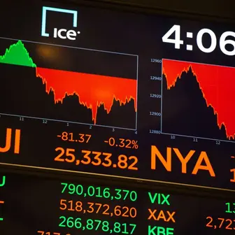 Shaul Shani Net Worth | Celebrity Net Worth