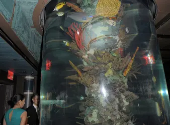 Shark Tank Sharks Net Worth | Celebrity Net Worth