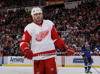 Willa Ford Net Worth | Celebrity Net Worth