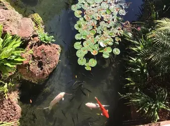 Jake Harris Net Worth | Celebrity Net Worth