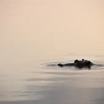 The Creator Of Bitcoin Was Briefly The 48th-Richest Person In The World