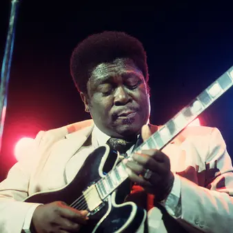 B.B. King Net Worth Celebrity Net Worth
