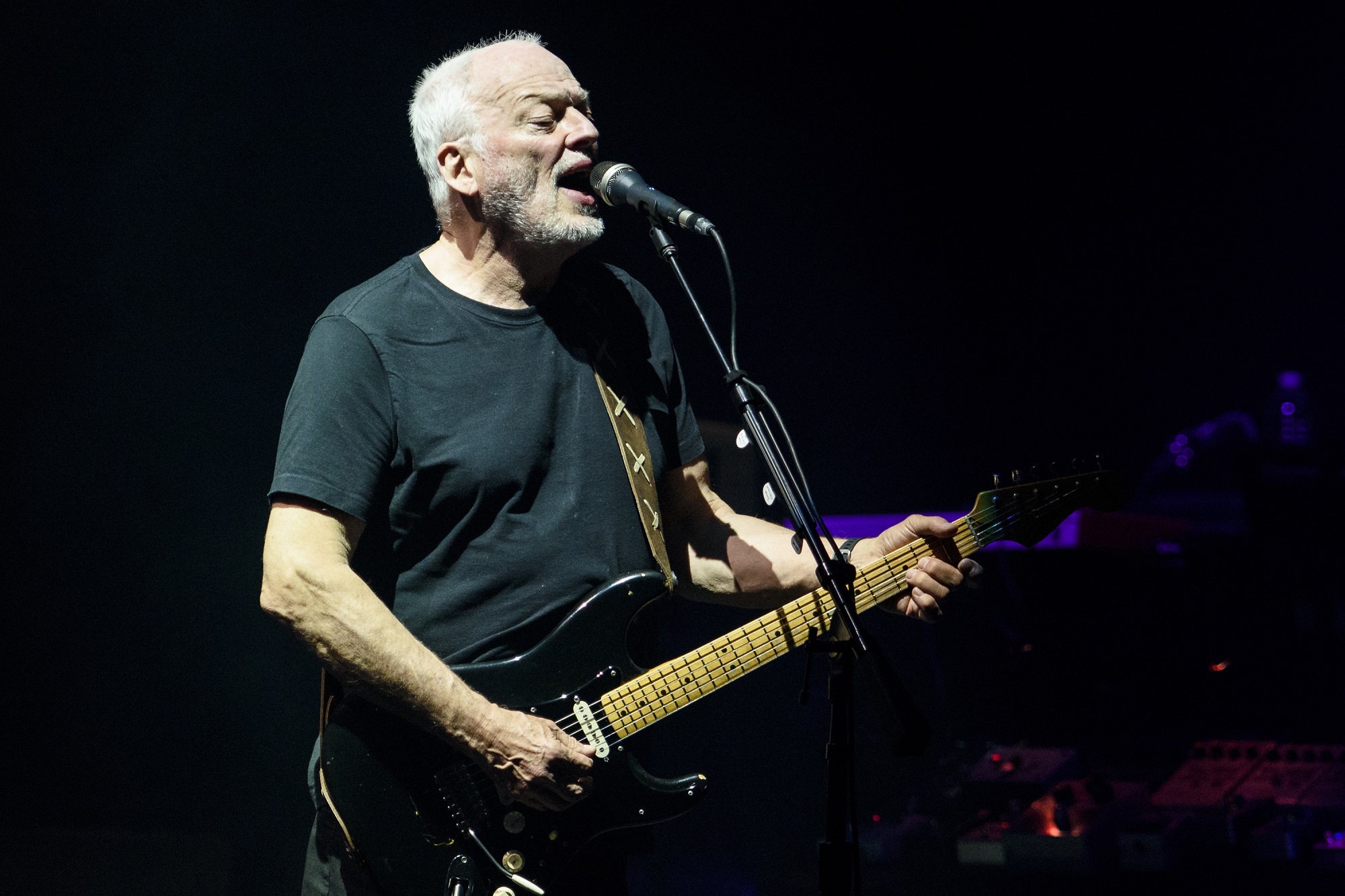 David Gilmour Net Worth Celebrity Net Worth