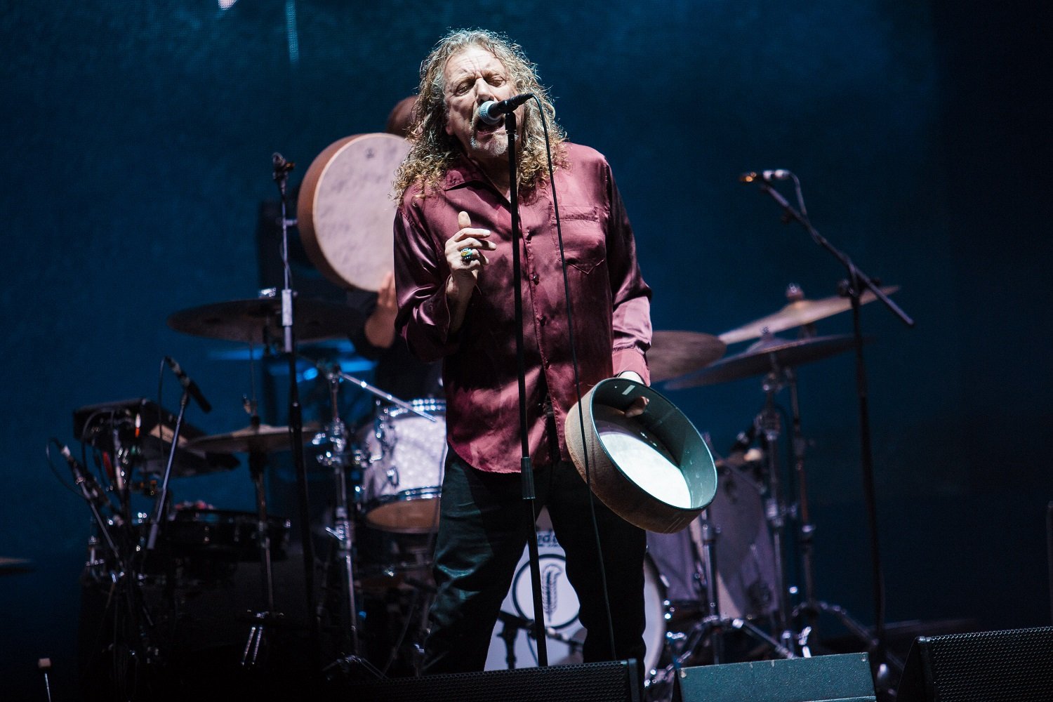 Robert Plant Net Worth | Celebrity Net Worth