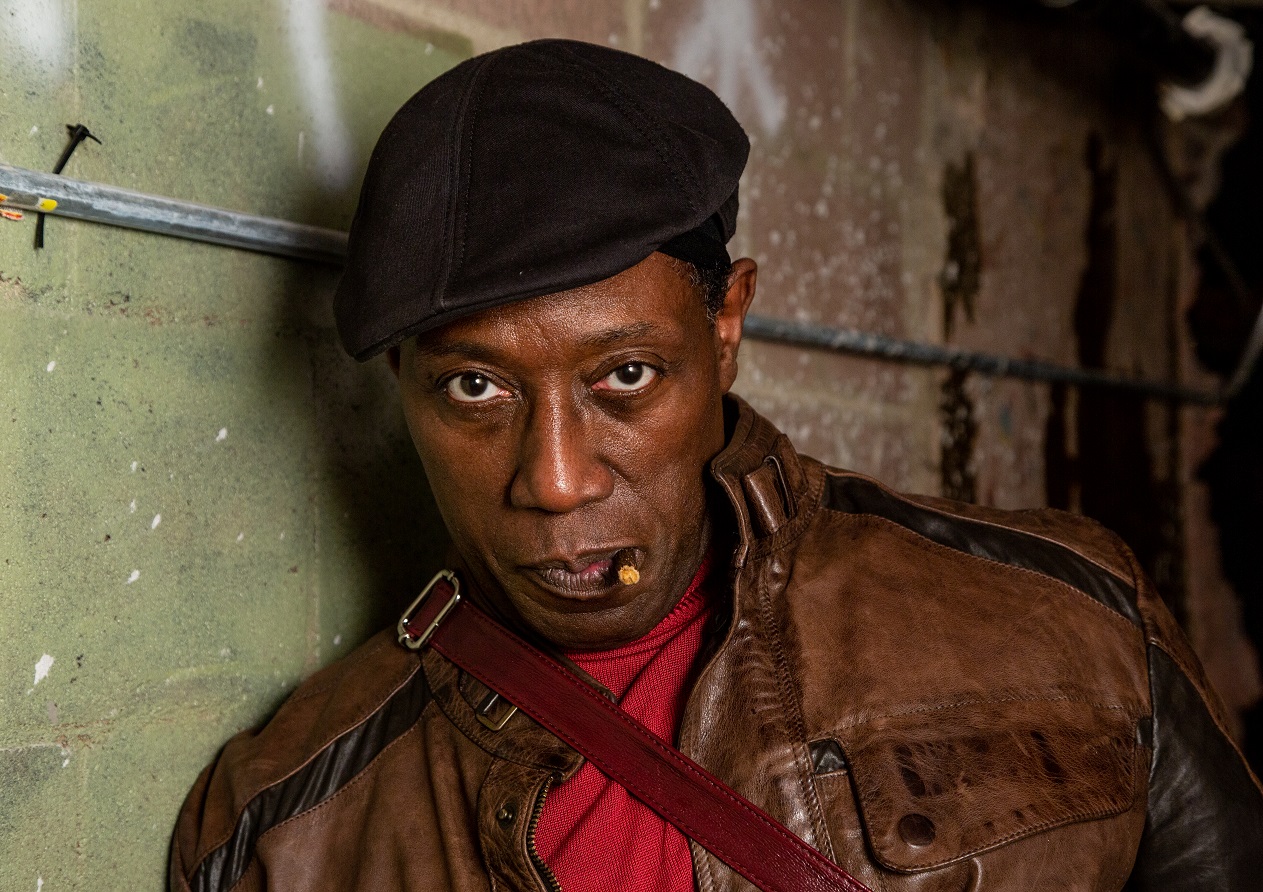 Wesley Snipes Net Worth