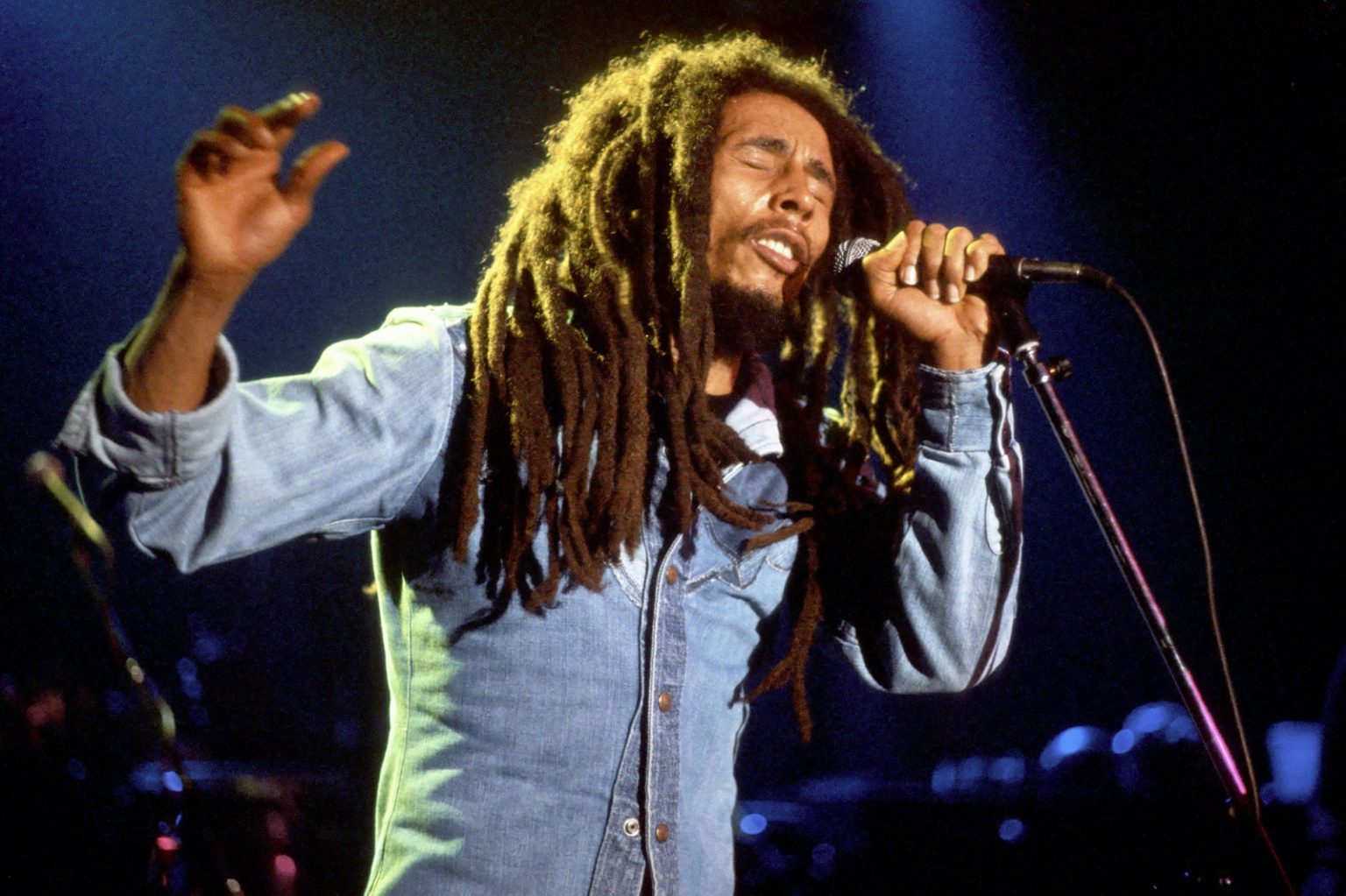 Bob Marley Net Worth Celebrity Net Worth