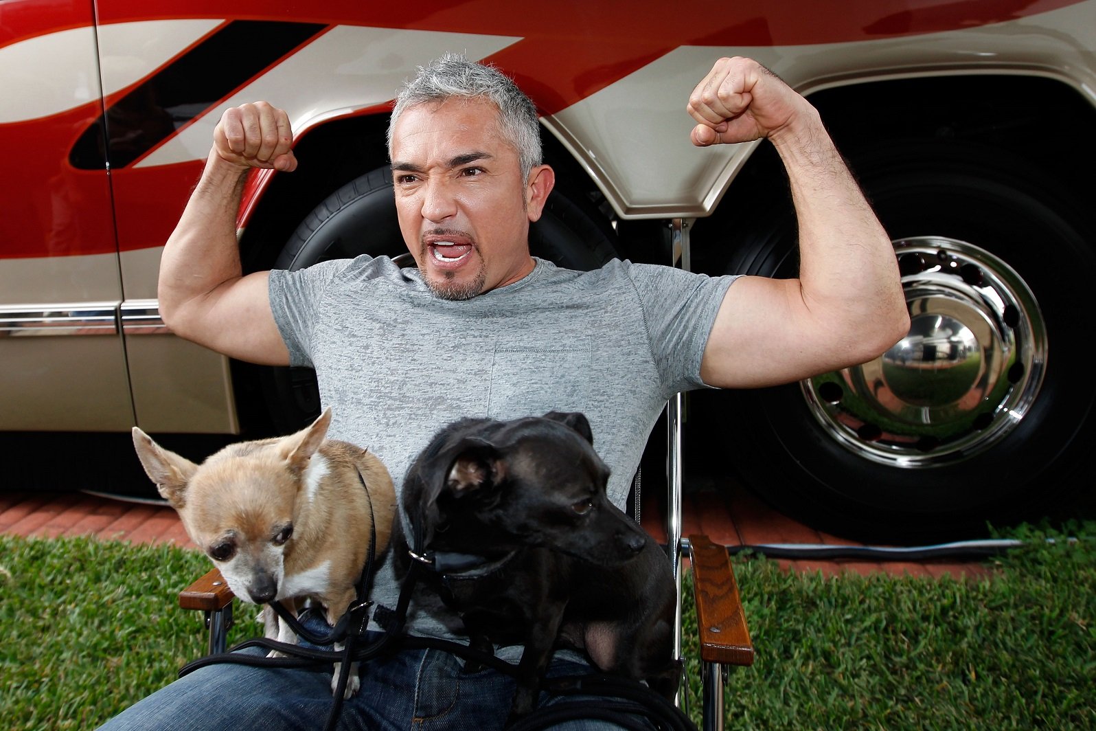 Cesar Millan Net Worth Celebrity Net Worth