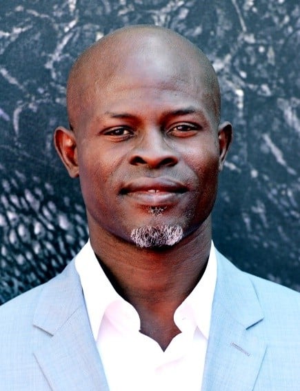 Djimon Hounsou Net Worth | Celebrity Net Worth