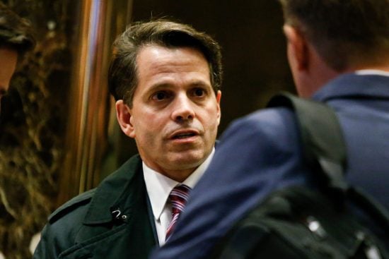 Anthony Scaramucci Net Worth | Celebrity Net Worth