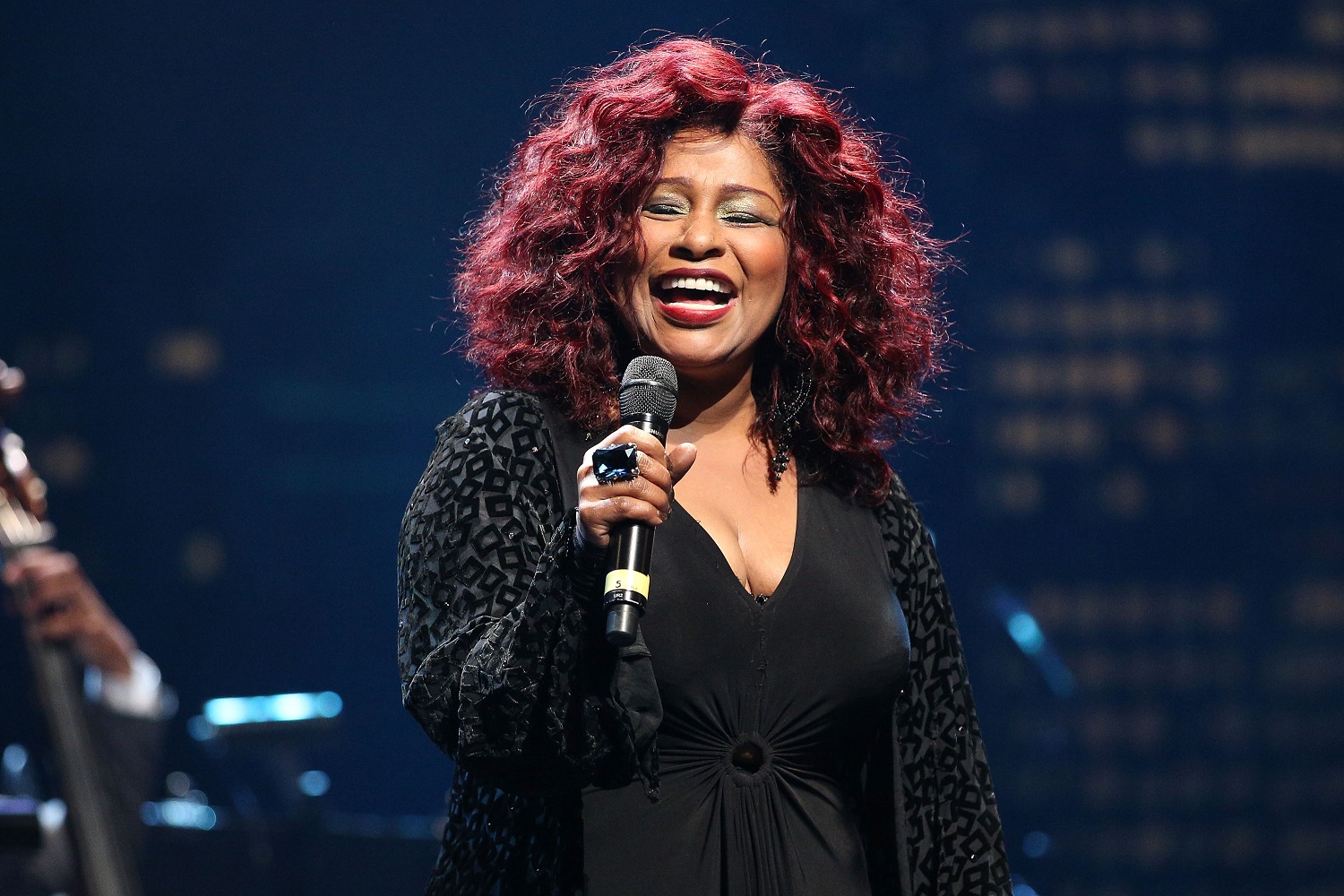 Chaka Khan Net Worth Celebrity Net Worth