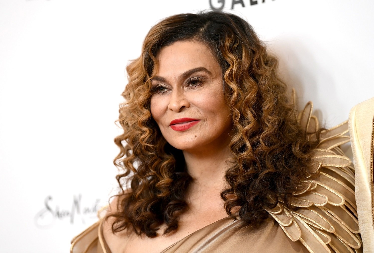 Tina Knowles Net Worth Celebrity Net Worth