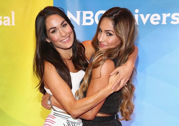 25 Photos Of Nikki And Brie Bella Living Their Best Lives
