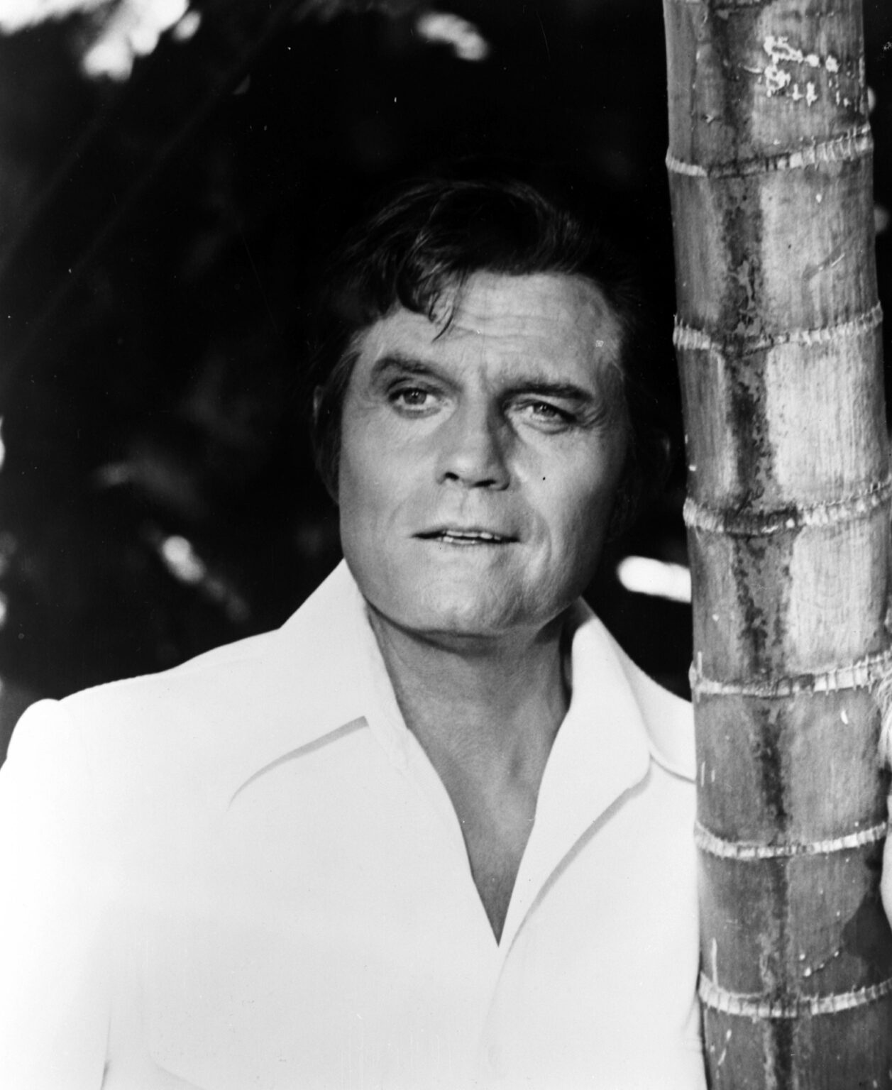 Jack Lord Net Worth Celebrity Net Worth