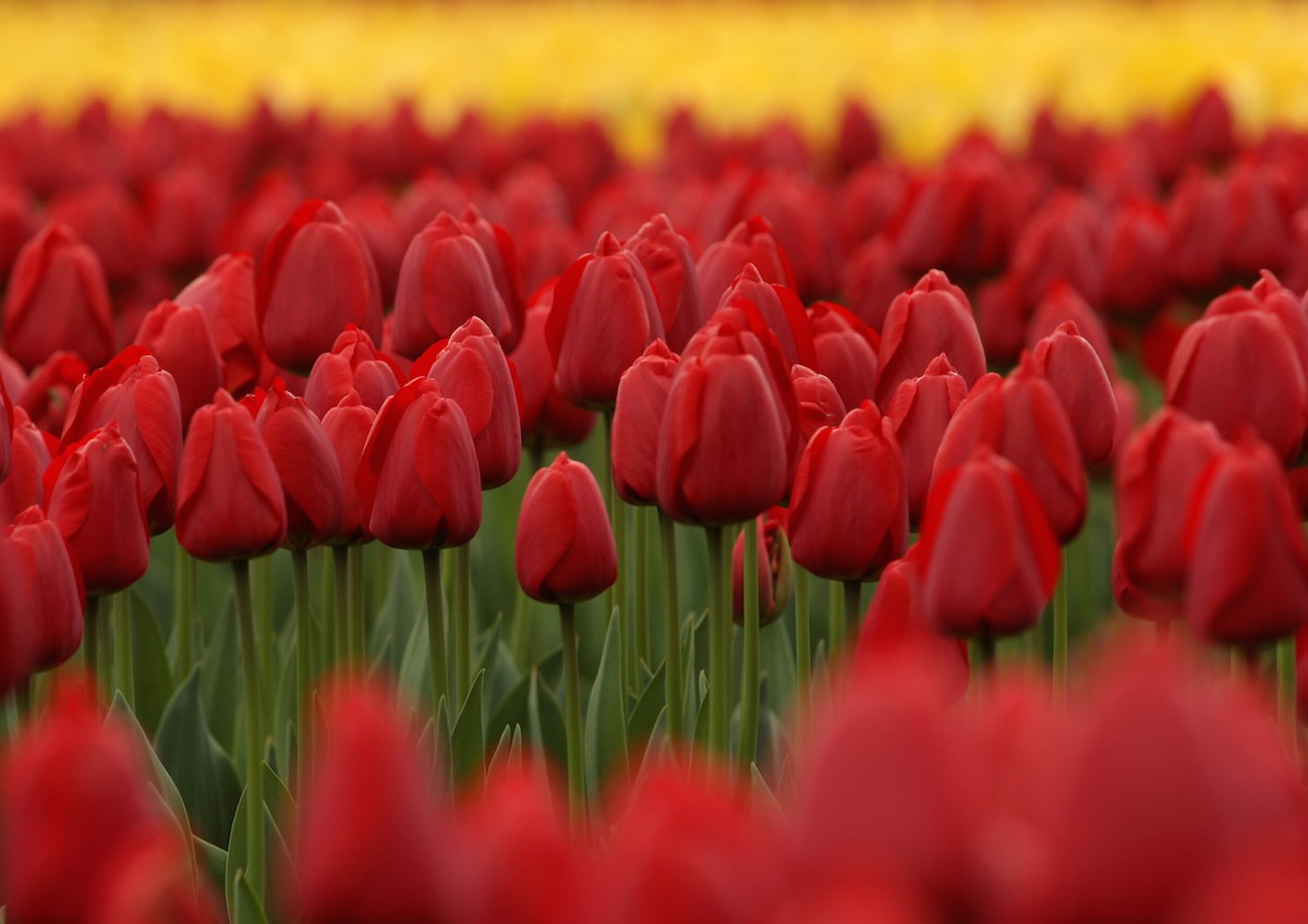 Buddhika Weerasinghe/Getty Images