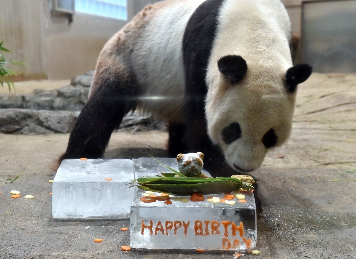 YOSHIKAZU TSUNO/AFP/Getty Images