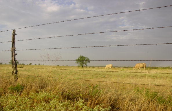 Wal-Mart Heiress Rolls Back Prices On Luxury Ranches | Celebrity Net Worth