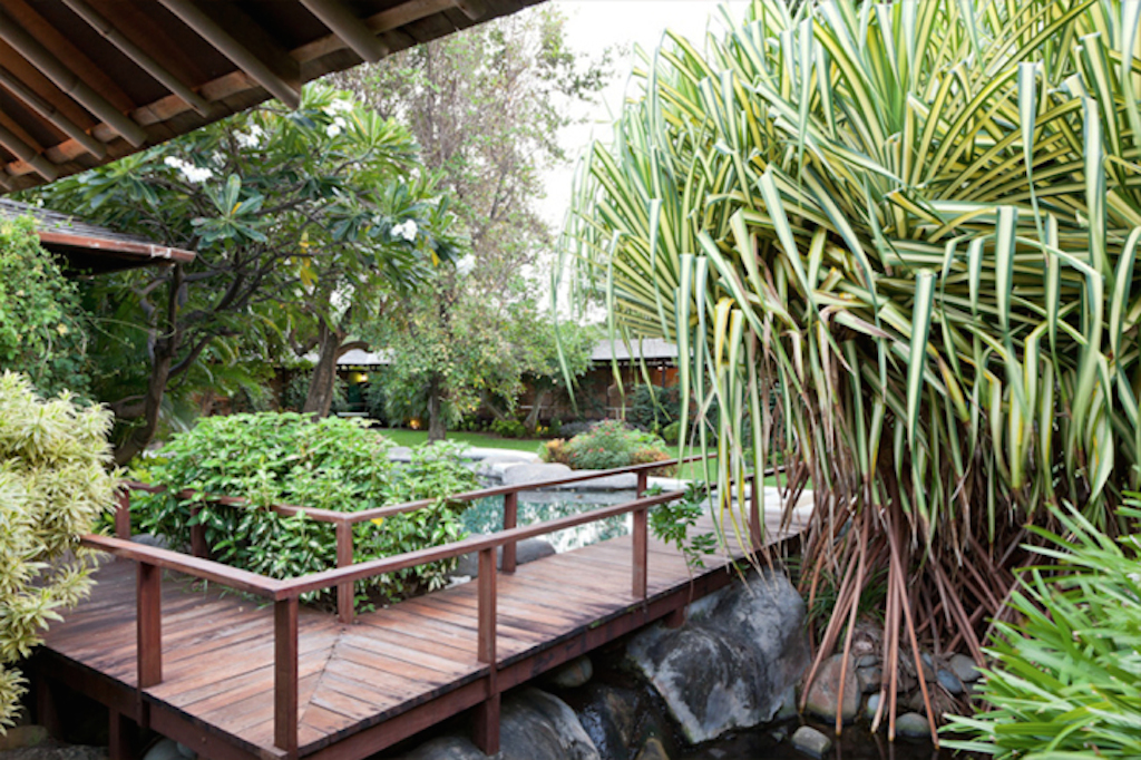 The Mustique Company