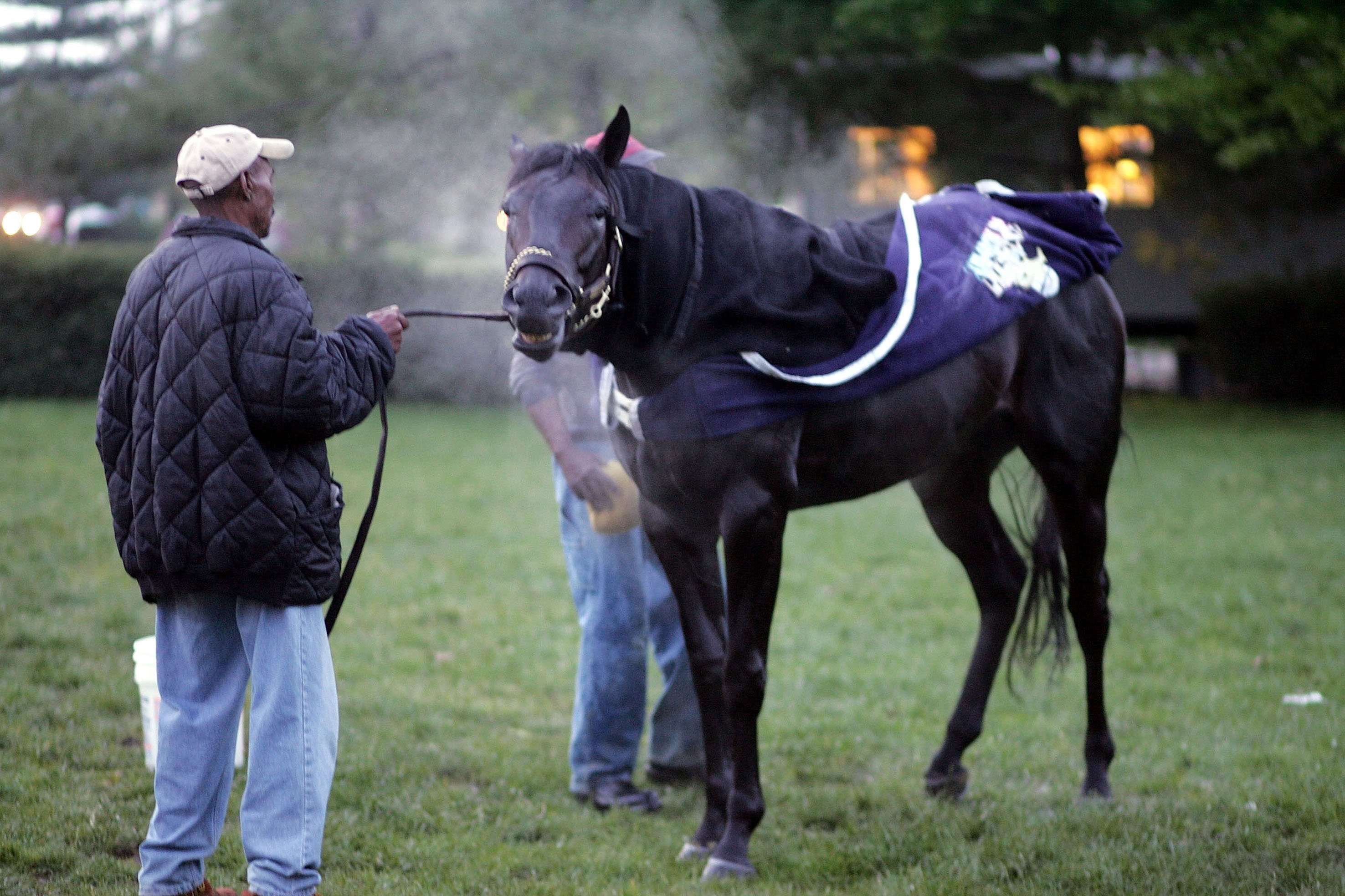 Horse betting billionaire racing