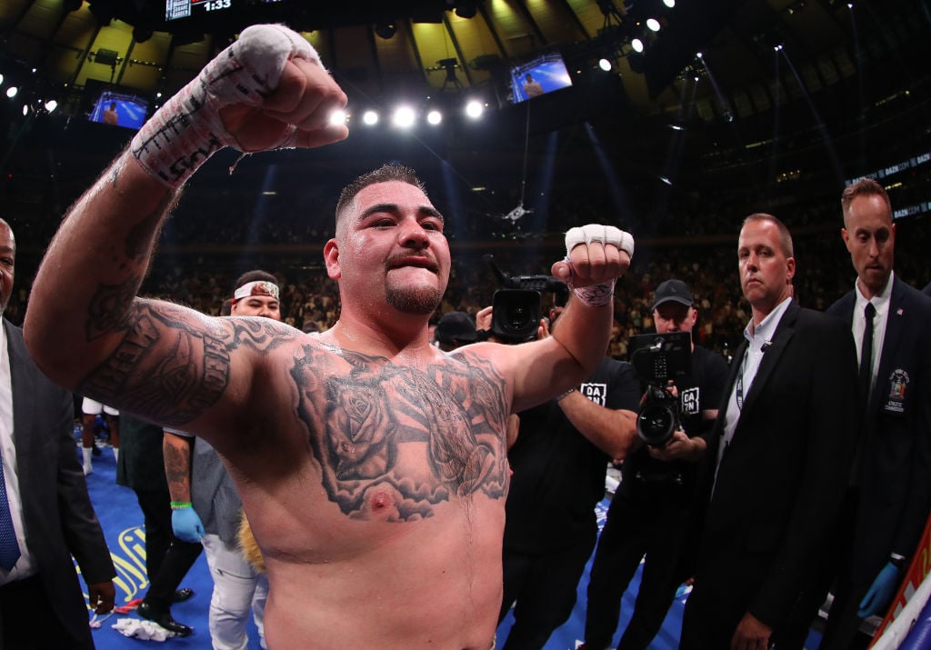 The Incredible Rise of Heavyweight Champion Andy Ruiz Jr. Celebrity