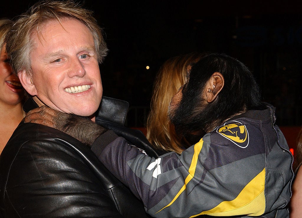 Gary Busey