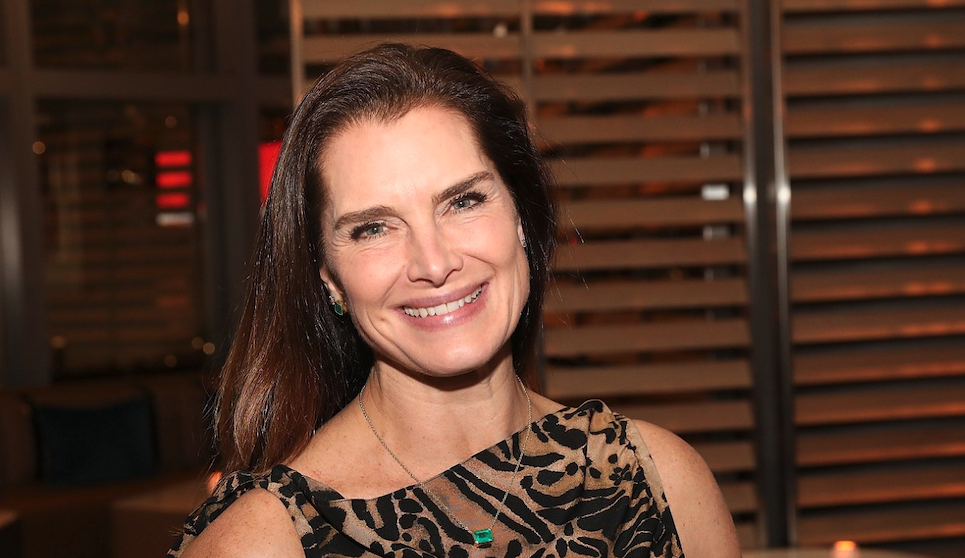 Revealed: Brooke Shields  & Career Highlights Net Worth 2026: Career Earnings & Assets