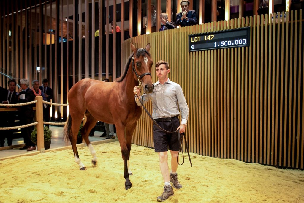 Gettin' Paid For Gettin' Laid: The Highest Earning Stud Fee Stallions In History